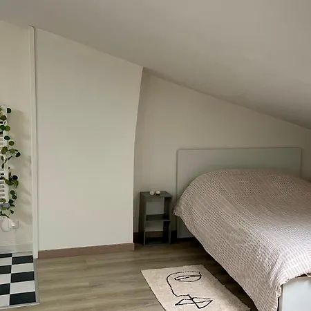 T3 Cosy Proche Eglise Saint-jean-baptiste * Libourne
